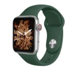 MC57 ساعة ذكية 40MM-SERIES 6 شاشة تتش بالكامل تدعم اللغة العربية تقوم بقياس نسبة الأكسجين في الدم ونبطات القلب وضغط الدم وتنبيهات المكالمات والرسائل متوافقة مع Android و IOS لون أخضر