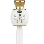 ميكروفون كاريوكي DS888 لاسلكي قابل للحمل باليد مع بلوتوث وسماعة يتوافق مع كل الهواتف الذكية – ذهبي وأبيض